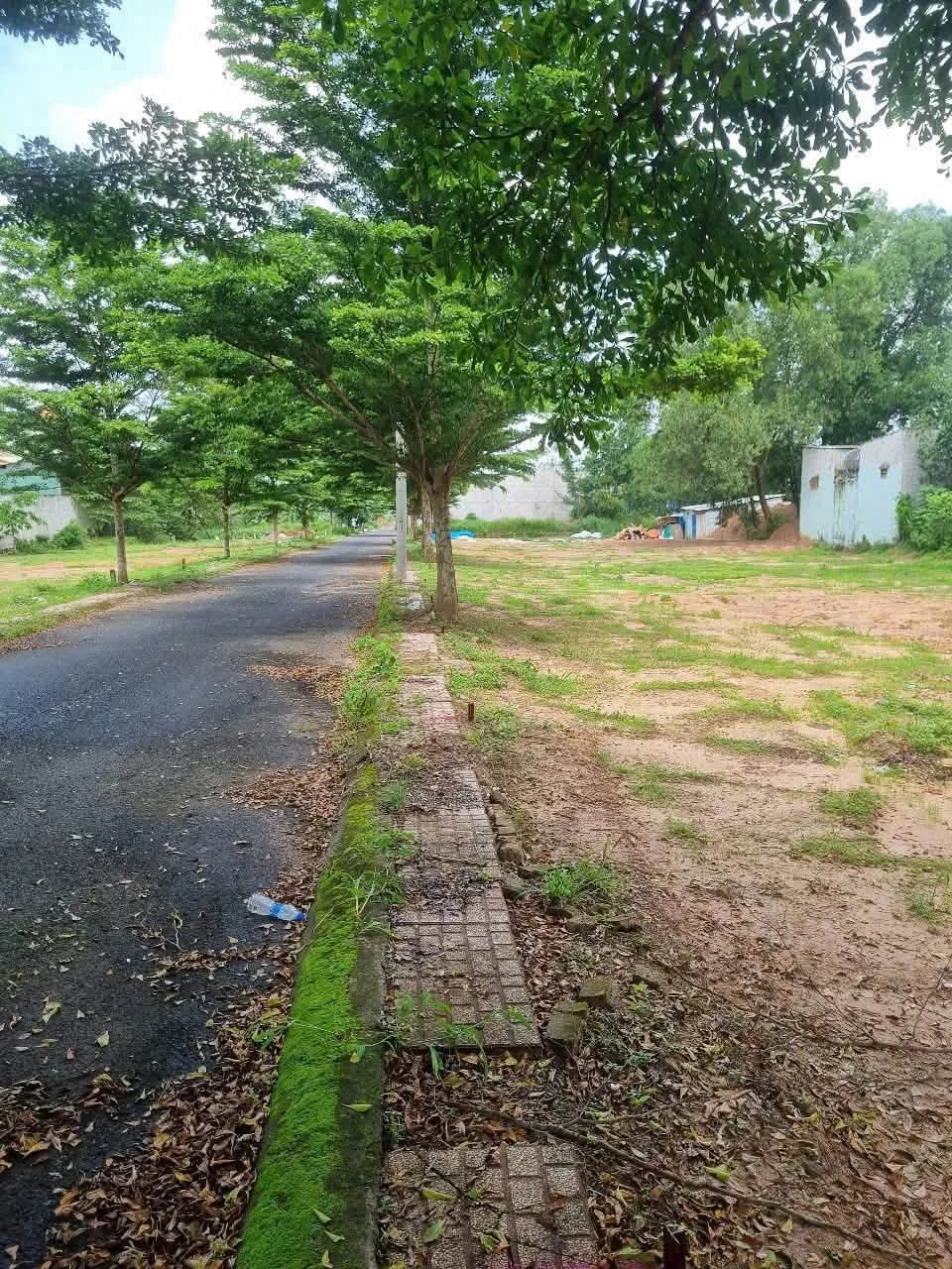 Bán lô đất 95m² An Phước, Long Thành, Đồng Nai 850 triệu - Ảnh 1