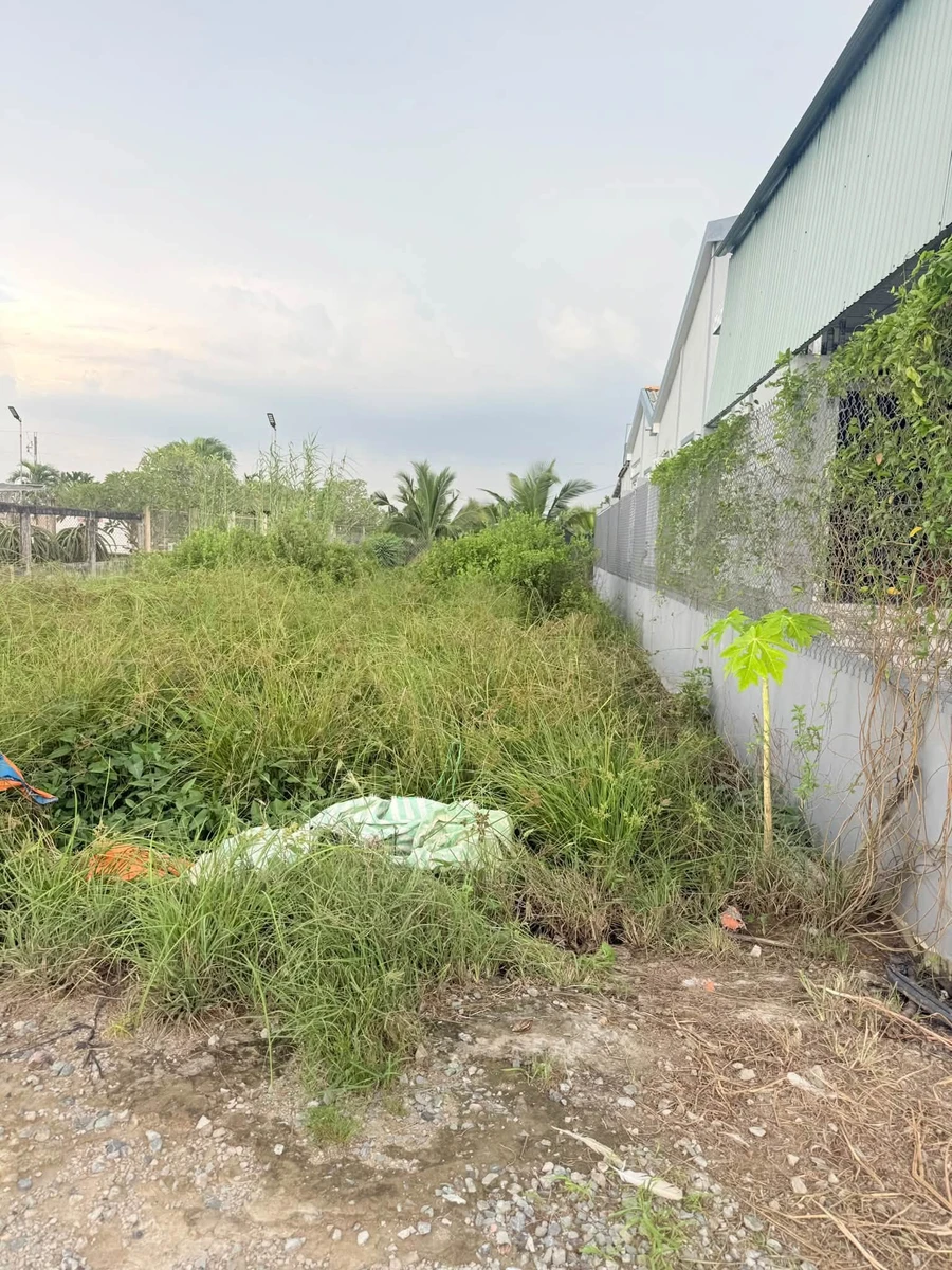 Bán lô đất thổ cư mặt tiền 120m² gần chợ Cầu Vuông - Ảnh thu nhỏ 4