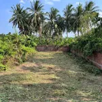 Bán nền biệt thự 375 m2 view sông Ba Lai Nhà Bè - Ảnh thu nhỏ 4