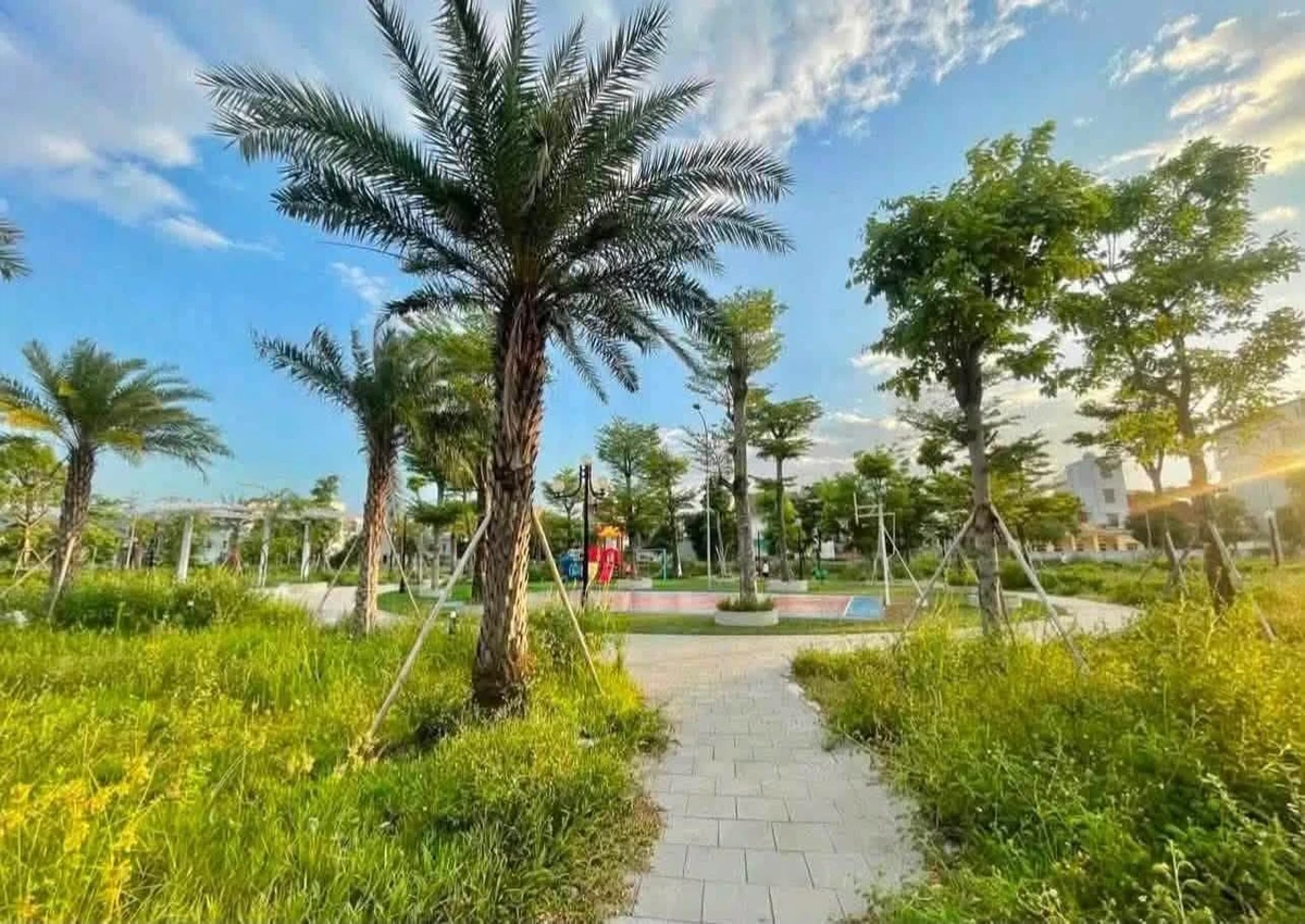 Bán đất KĐT Trái Bầu Hải Dương 69.75m2 giá 3 tỷ - Ảnh thu nhỏ 3