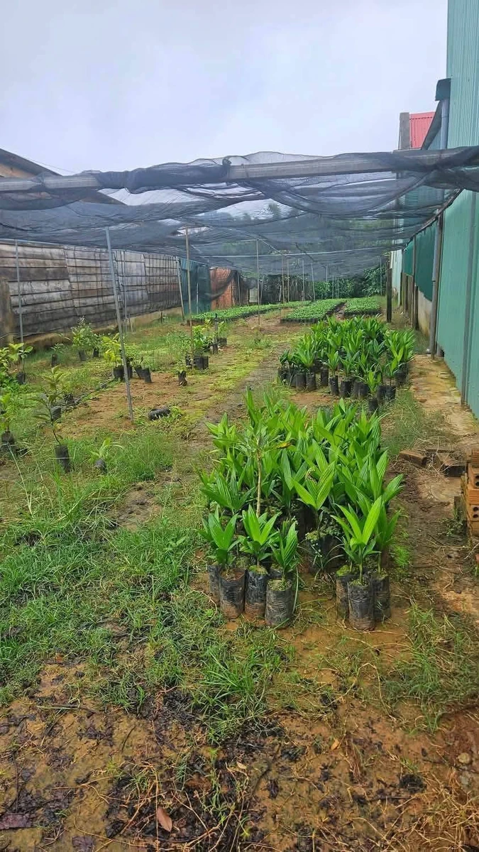 Bán đất mặt tiền QL28 360m² Gia Nghĩa 1 tỷ 50 - Ảnh 1