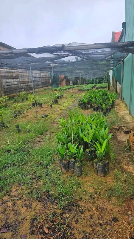 Bán đất mặt tiền QL28 360m² Gia Nghĩa 1 tỷ 50