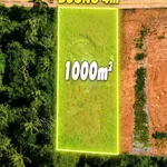 Bán đất Dương Đông Phú Quốc 1000m2 giá 8 tỷ - Ảnh thu nhỏ 3