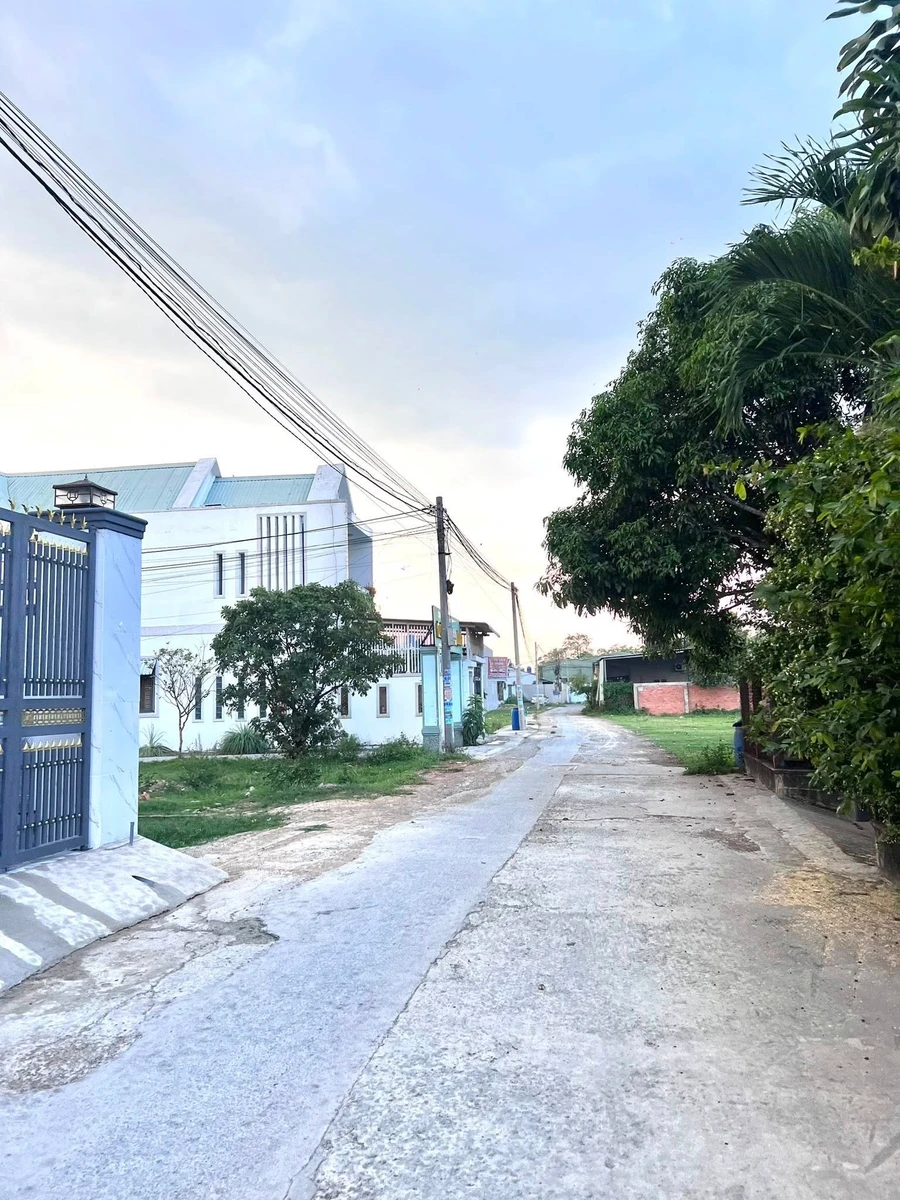Bán lô đất 120m² mặt tiền đường nhựa Đức Hoà - Ảnh thu nhỏ 4