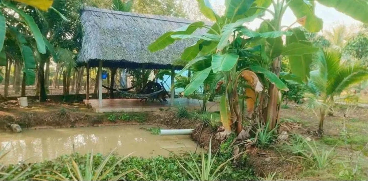 Bán nhà vườn An Điền 1.411m2 giá 4,5 tỷ - Ảnh thu nhỏ 4