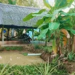 Bán nhà vườn An Điền 1.411m2 giá 4,5 tỷ - Ảnh thu nhỏ 4