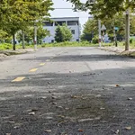 Bán đất 75m2 giá 520 triệu gần KCN Bàu Bàng, Bình Dương - Ảnh thu nhỏ 1