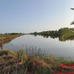 Bán đất nền 20 công Cà Mau, giá ngộp ngân hàng - Ảnh thu nhỏ 1