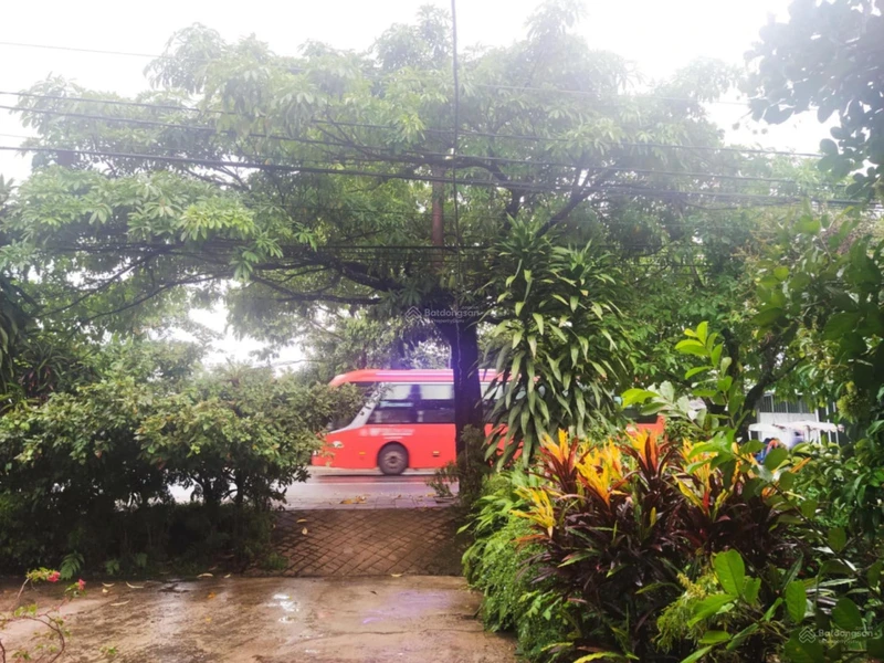 Nhà vườn siêu đẹp, nở hậu, mặt tiền đường Quốc Lộ 20 nối SG - Đà Lạt (Đạ Huoai - Lâm Đồng)