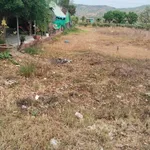 Bán đất 336m2 Lagi Lâm Đồng 1 tỷ 5 - Ảnh thu nhỏ 2