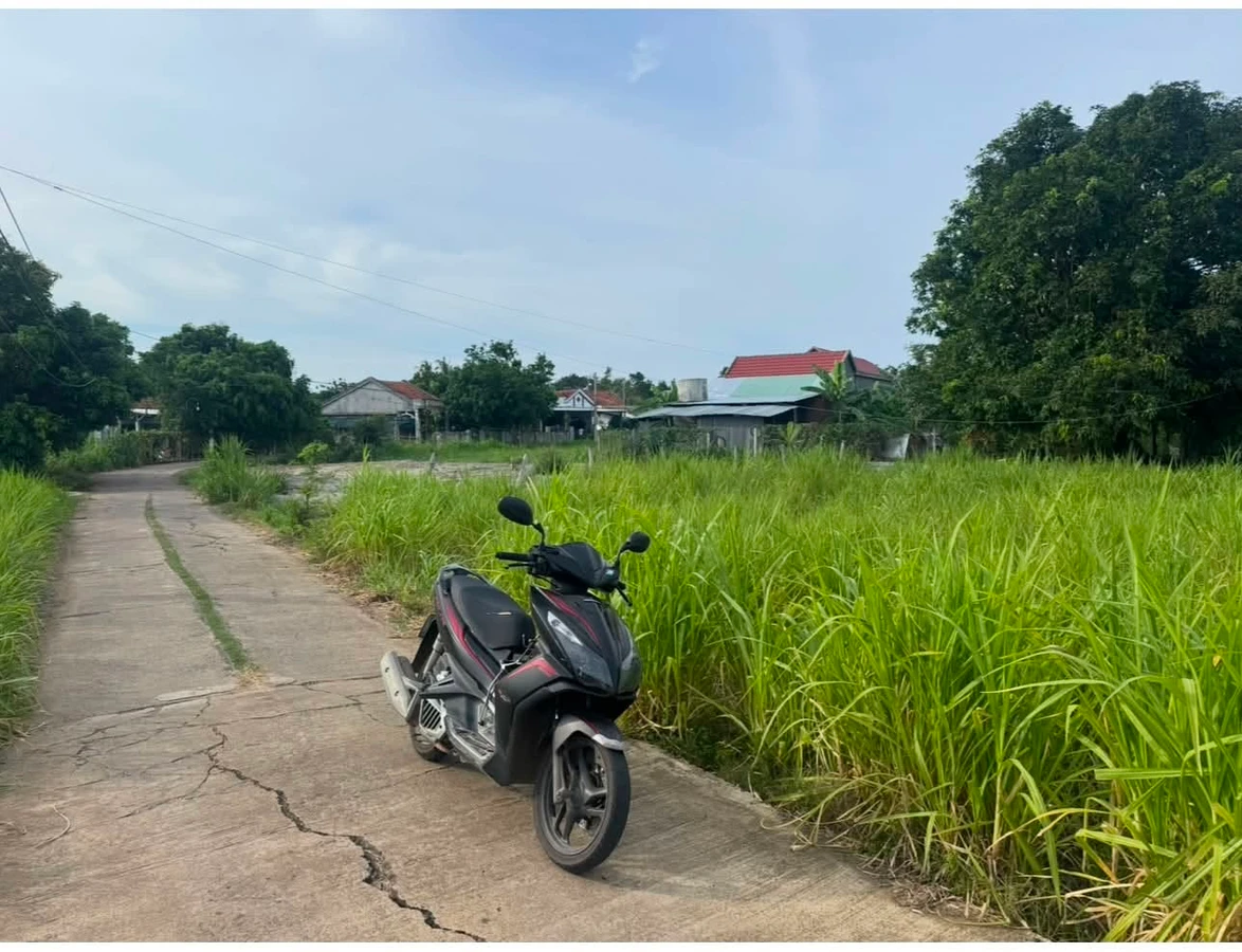 Bán đất Xã Ô Loan 965m2 giá khoảng 1 tỷ - Ảnh 1