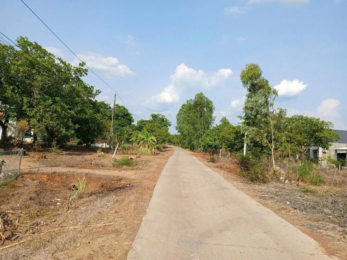 Bán đất Suối Bình Đồng Tiến, 480m², 450 triệu - Ảnh 1