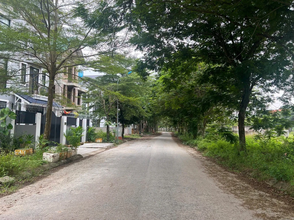 Bán biệt thự 300m² mặt tiền 20m tại KĐT Hà Phong Mê Linh - Ảnh thu nhỏ 3