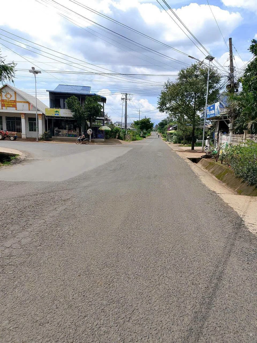 Bán đất mặt tiền DH1 5000m² Đức Trọng Lâm Đồng - Ảnh thu nhỏ 2