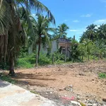 Bán nền biệt thự 774 m² Phú An Hòa Bến Tre - Ảnh thu nhỏ 1