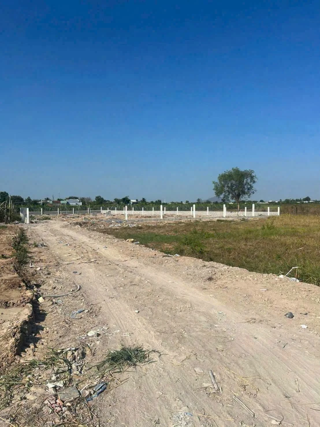 Bán 1000m² đất thôn Hàm Liêm, Phan Thiết 550 triệu - Ảnh 1