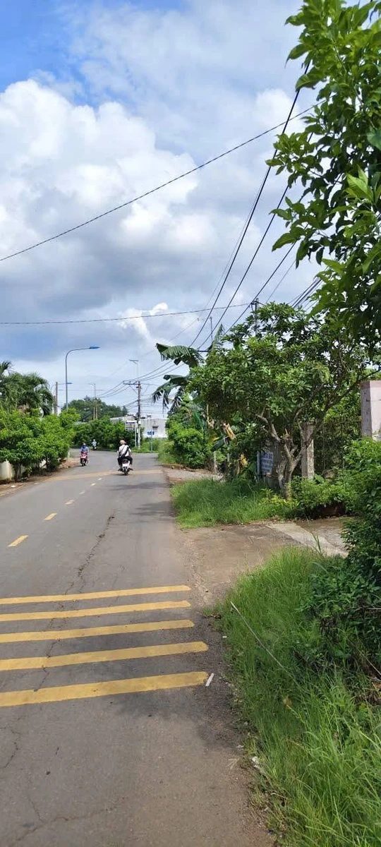 Bán đất mặt tiền Điều Xiểu Long Khánh 200m² 1 tỷ 900 - Ảnh thu nhỏ 4