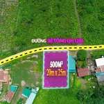 Bán đất 500m2 mặt đường Betong Quận 12 - Ảnh thu nhỏ 2