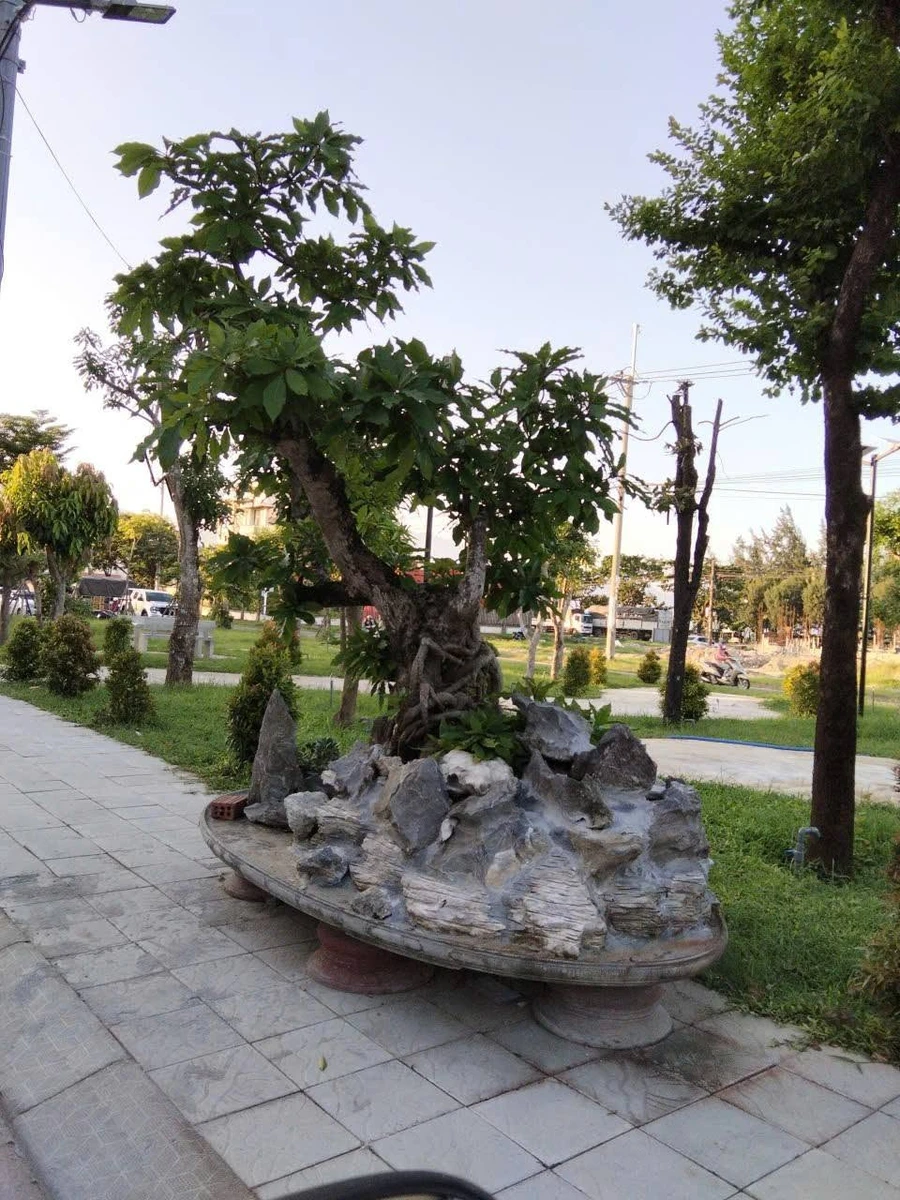 Bán nhà Nguyễn Chánh 117m2 giá 4 tỷ Liên Chiểu - Ảnh thu nhỏ 2
