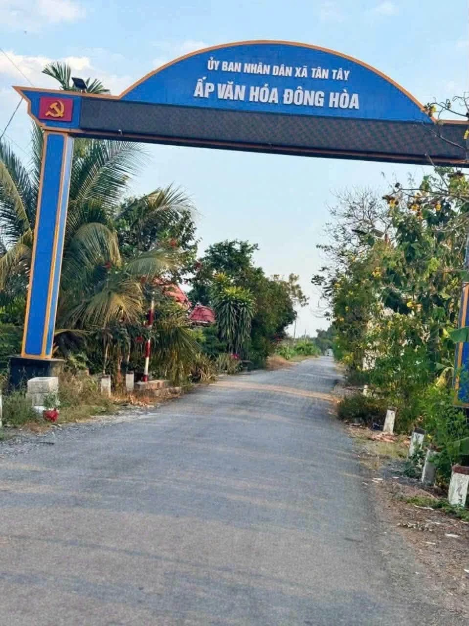 Bán đất mặt tiền Long An 19.671 m², 200 triệu/công - Ảnh 1