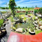 Bán nhà vườn 735m² tại Hàm Chính, Nhà Bè, 1,9 tỷ - Ảnh thu nhỏ 3