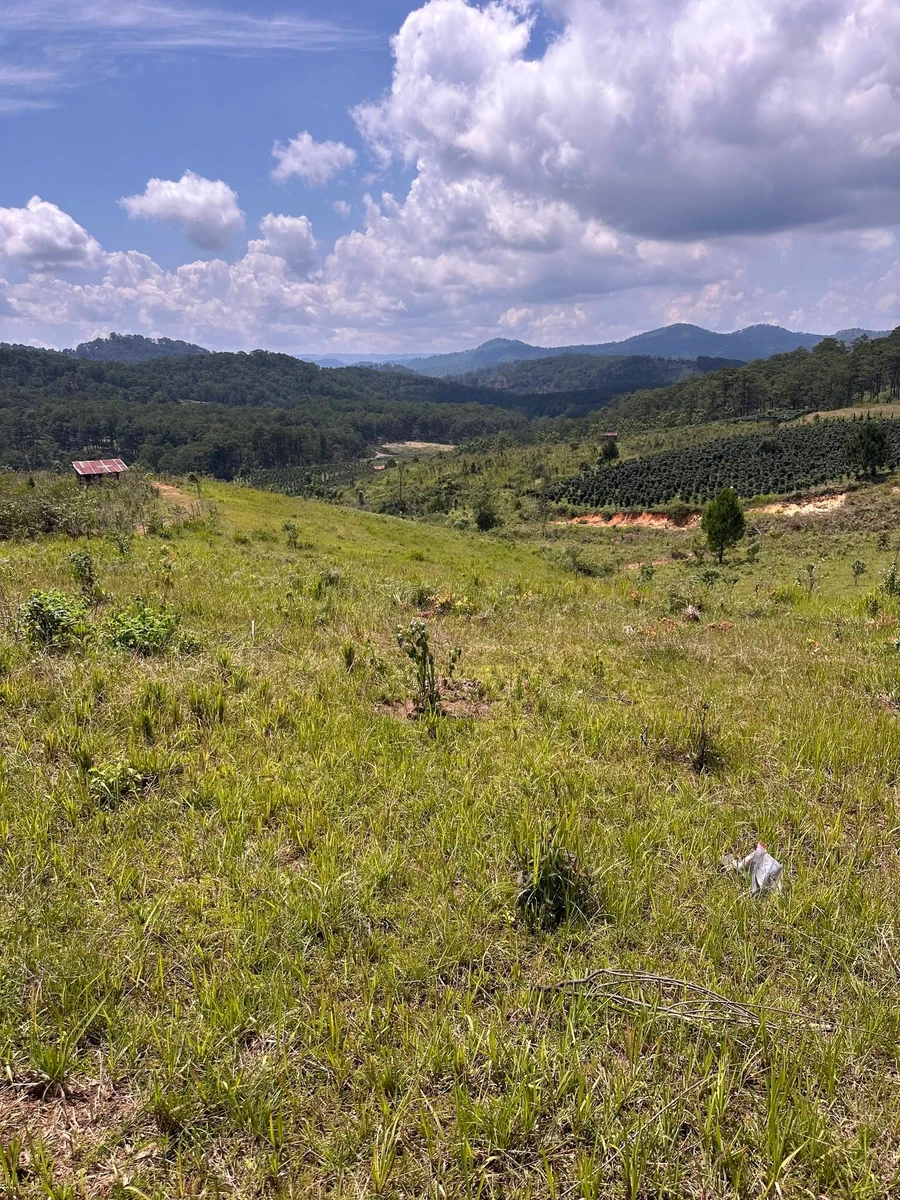 Bán 5000m² đất tại Xã Đa Sar, Lạc Dương, Lâm Đồng - 2,9 tỷ - Ảnh thu nhỏ 3