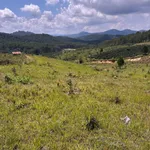 Bán 5000m² đất tại Xã Đa Sar, Lạc Dương, Lâm Đồng - 2,9 tỷ - Ảnh thu nhỏ 3