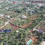 Bán đất Phú Xuân, Huyện Krông Năng, Đắk Lắk Diện tích: 175m², có 60m² đất ở Đường đất, vị trí - Ảnh thu nhỏ 3