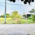 Bán đất thổ cư 11x75m (825m2) ngộp bank gần Vinhomes Hậu Nghĩa, giá 4,45 tỷ - Ảnh thu nhỏ 4