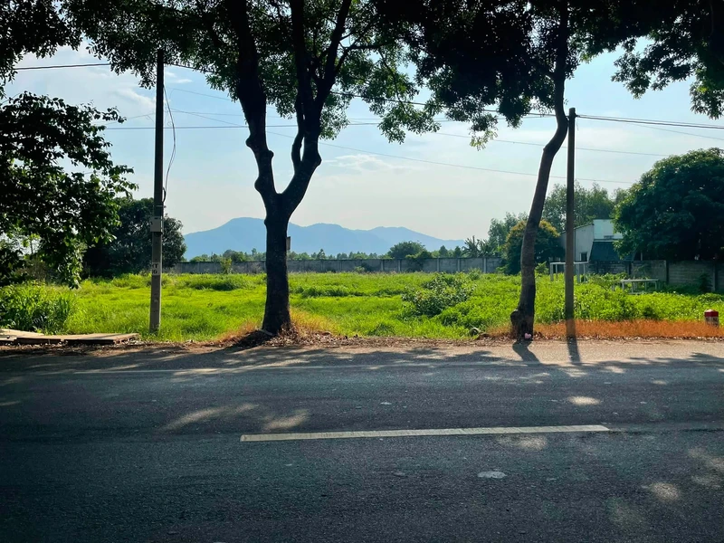 Bán 2 lô đất mặt tiền QL56, 2.395m² ở Bà Rịa Vũng Tàu