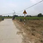 Bán 2 lô đất 5x23m mặt đường xe hơi gần QL50, Phước Đông, Cần Đước - Ảnh thu nhỏ 5