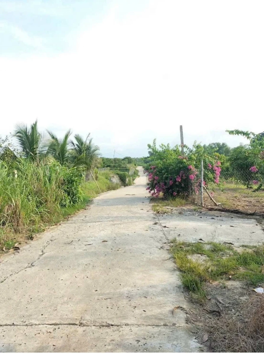 Bán lô đất vườn 1500m2 giáp suối Khánh Hòa - Ảnh thu nhỏ 2