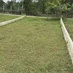 Bán đất kiệt Nguyễn Viết Xuân Huế 81m² và 162m² - Ảnh thu nhỏ 3