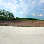Bán đất 1000m2 mặt tiền Tây Ninh giá 980 triệu - Ảnh thu nhỏ 4