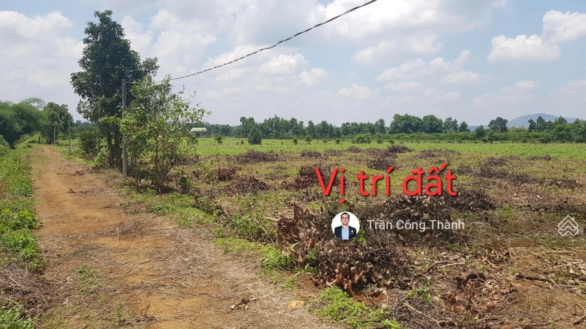 847m2 (sẵn 70m2 đất ở) - mặt tiền 18m - Ảnh thu nhỏ 4