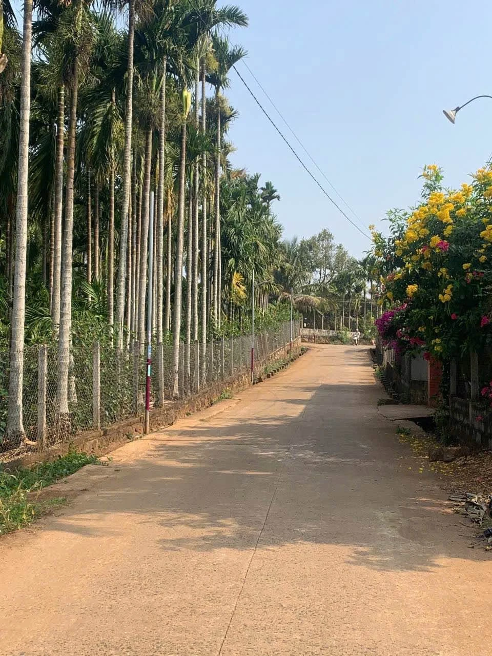 Bán đất 144m² mặt tiền Đại Lộ Đông Tây, Đắk Lắk - Ảnh 1