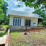 Bán nhà vườn 1.000m² mặt tiền 24m có vườn xoài tại xã La Ngà, Định Quán, Đồng Nai - Ảnh thu nhỏ 5