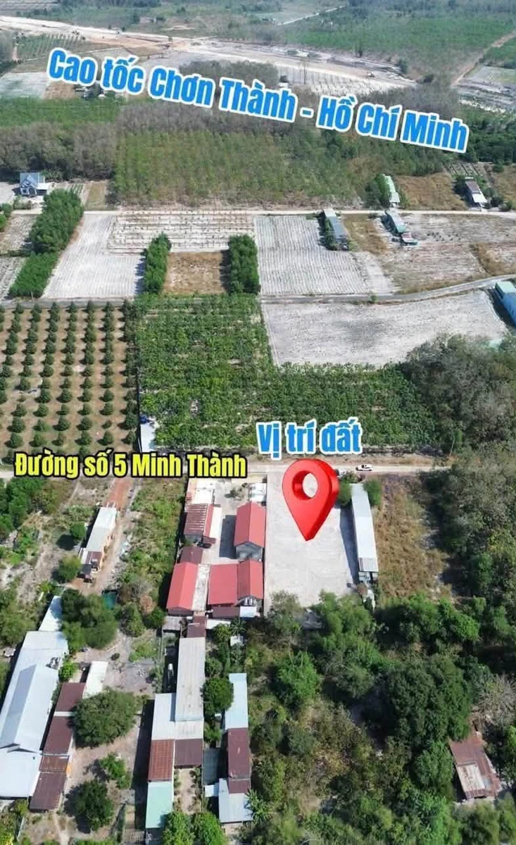Bán đất Bình Dương 5x45x50 thổ cư mặt tiền đường số 5 - Ảnh thu nhỏ 5