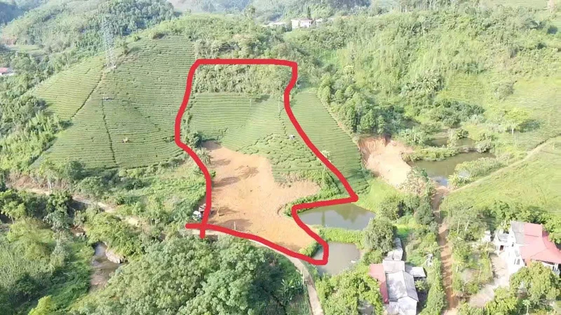 Bán đất 6.100m² view suối Tân Sơn, Phú Thọ 1,6 tỷ