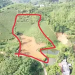 Bán đất 6.100m² view suối Tân Sơn, Phú Thọ 1,6 tỷ - Ảnh thu nhỏ 1