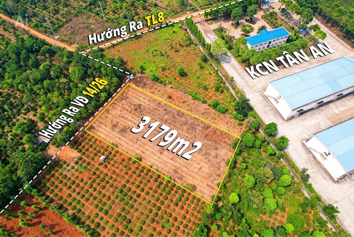 Bán 3,2 sào đất trống phường Tân An, hẻm cấp 1 vành đai QL14 và QL26, giá 4 tỷ - Ảnh thu nhỏ 2