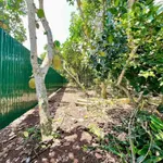 Bán 500m2 đất vườn trái cây Bảo Vinh, Long Khánh, Đồng Nai - Ảnh thu nhỏ 2