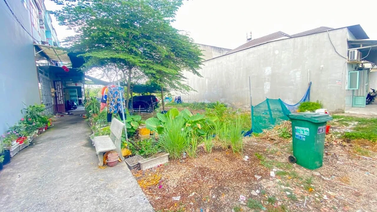 Chính chủ bán đất 11x29m, 295m2 thổ cư, sau chợ Thới Hòa, Bình Chánh - Ảnh thu nhỏ 2