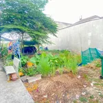 Chính chủ bán đất 11x29m, 295m2 thổ cư, sau chợ Thới Hòa, Bình Chánh - Ảnh thu nhỏ 2