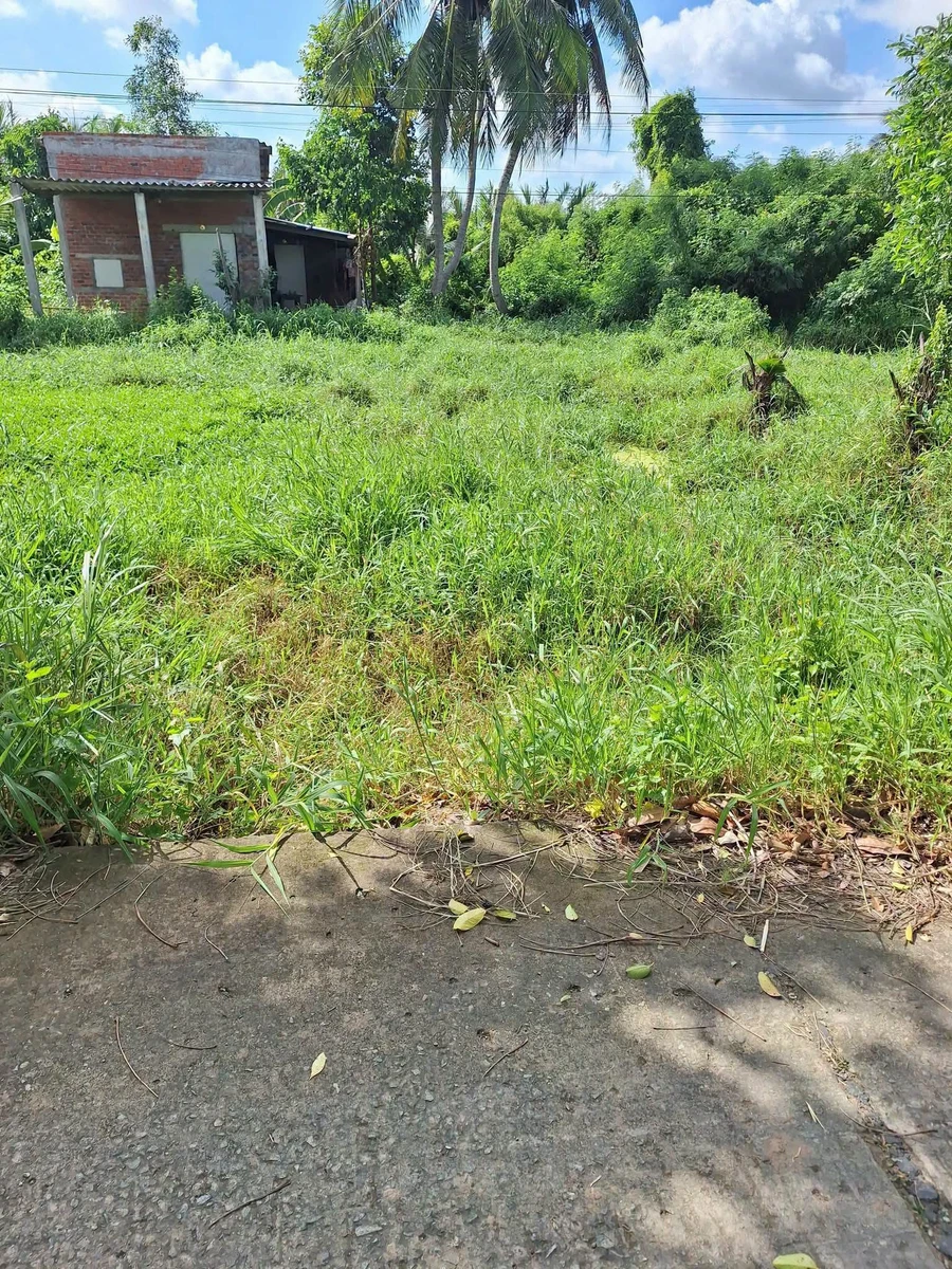 Bán nhà và đất hơn 1 công, 500m² nền tại bến Vựa, xã Vĩnh Hòa, Vĩnh Long giá 720 triệu - Ảnh thu nhỏ 3