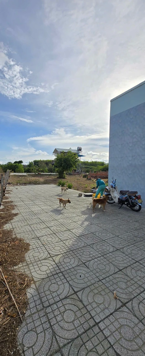 Bán đất nền biển Bình Châu 9.722m² 13 tỷ - Ảnh thu nhỏ 5