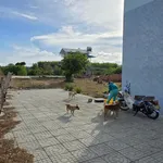 Bán đất nền biển Bình Châu 9.722m² 13 tỷ - Ảnh thu nhỏ 5