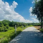 Bán 8 lô đất thổ cư 5x40 tại Cầu Khởi, Tây Ninh 279 triệu/lô - Ảnh thu nhỏ 3