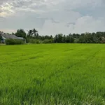 Bán đất 3.911,5m² giáp cao tốc TP.HCM-Trung Lương Tây Ninh - Ảnh thu nhỏ 4
