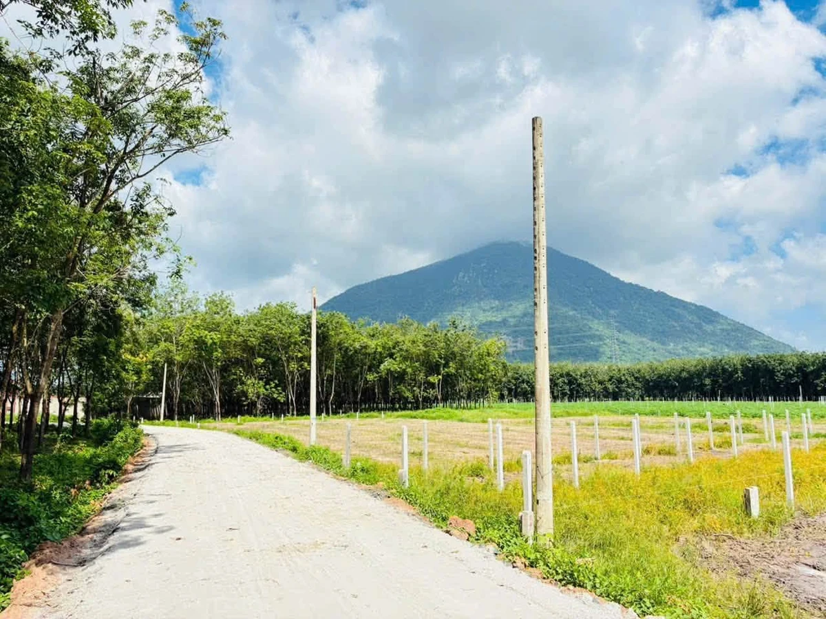 Bán 2 nền đất liền kề 5x29m Xã Phan Dương Minh Châu 320 triệu - Ảnh thu nhỏ 2